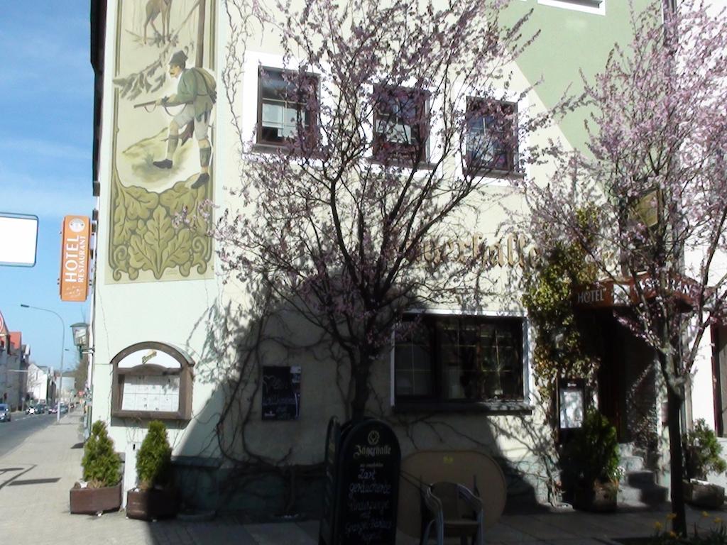 Hotel Jaegerhalle Falkenstein  Екстер'єр фото